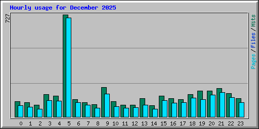 Hourly usage for December 2025