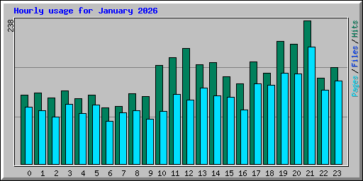 Hourly usage for January 2026