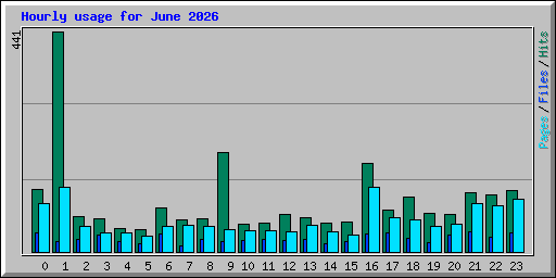 Hourly usage for June 2026