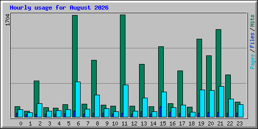 Hourly usage for August 2026
